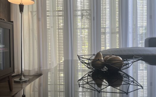 Luxury Beachfront Pet Friendly Apartment