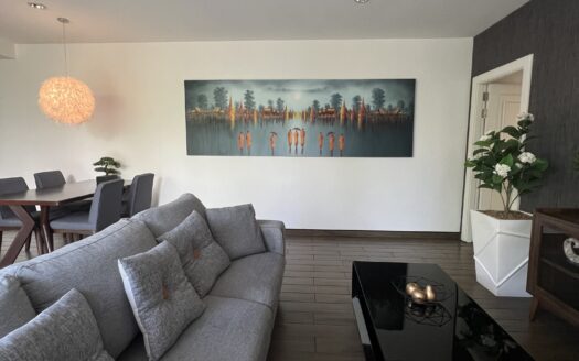 Luxury Beachfront Pet Friendly Apartment