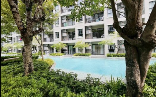 Best investment: for business and living. Room in city centre