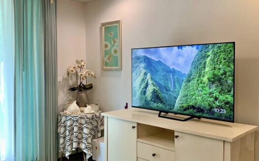 Beachfront 1 Br condo (after march 2027)