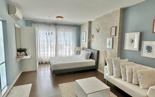 Cosy studio near True Arena