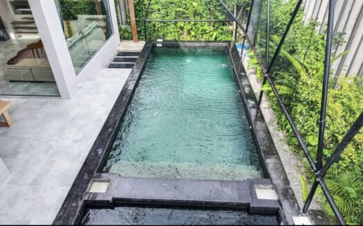 Pet friendly  Modern Natural Pool Villa