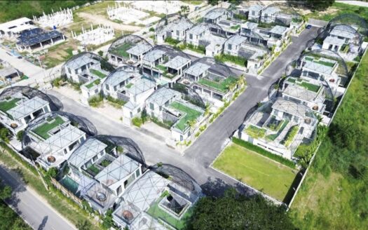 Pet friendly  Modern Natural Pool Villa