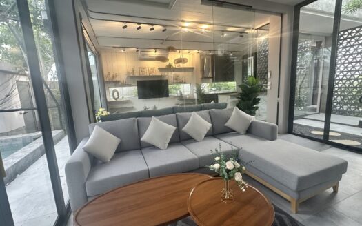 Pet friendly modern design house