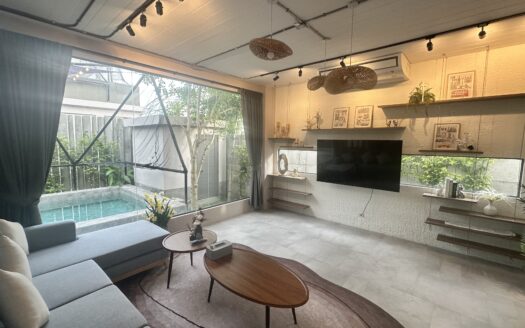 Pet friendly modern design house