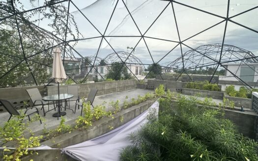 Pet friendly modern design house