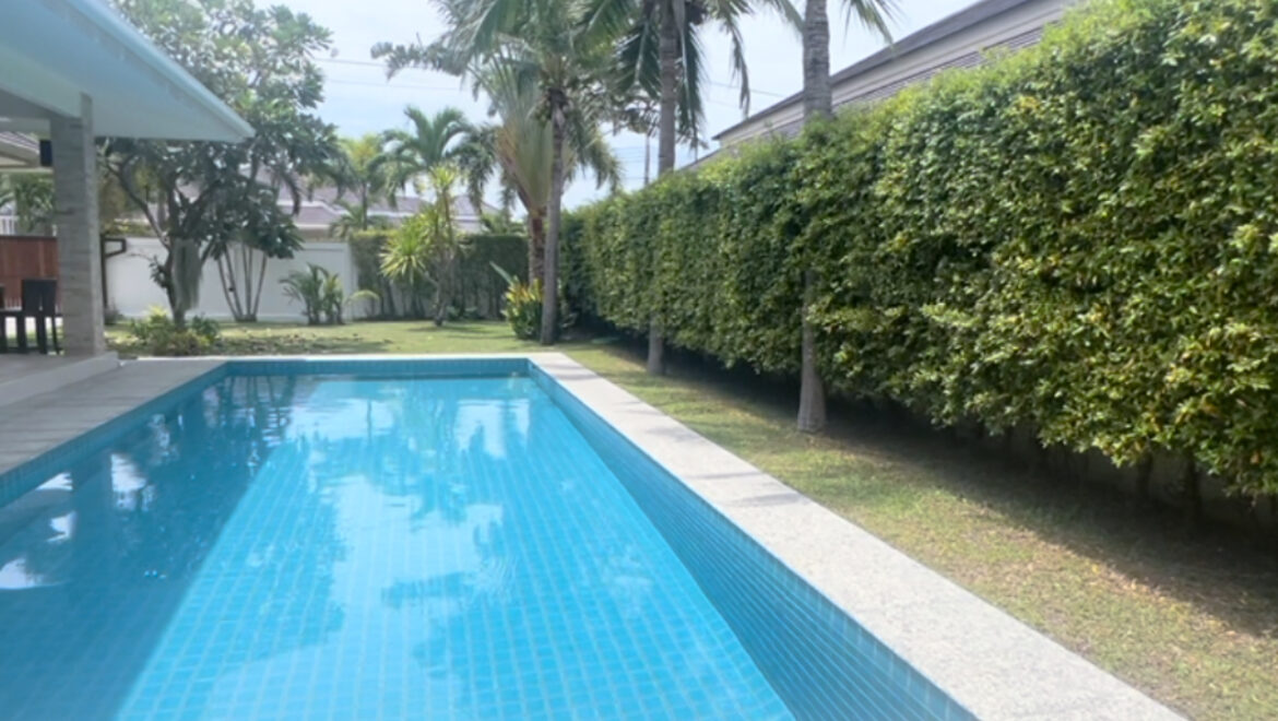 video image